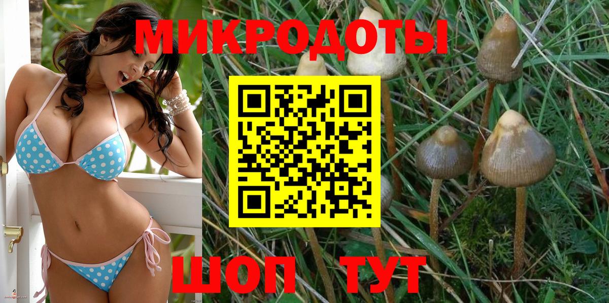 Краснодар  Псилоцибиновые грибы Cubensis  Вход с VPN 